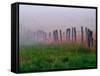 Fence Across Foggy Meadow, Cades Cove, Great Smoky Mountains National Park, Tennessee, USA-Adam Jones-Framed Stretched Canvas