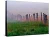 Fence Across Foggy Meadow, Cades Cove, Great Smoky Mountains National Park, Tennessee, USA-Adam Jones-Stretched Canvas