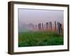 Fence Across Foggy Meadow, Cades Cove, Great Smoky Mountains National Park, Tennessee, USA-Adam Jones-Framed Photographic Print