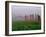 Fence Across Foggy Meadow, Cades Cove, Great Smoky Mountains National Park, Tennessee, USA-Adam Jones-Framed Photographic Print