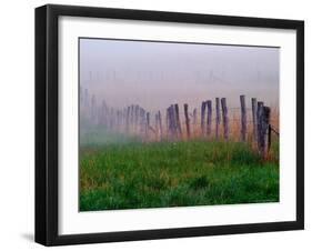 Fence Across Foggy Meadow, Cades Cove, Great Smoky Mountains National Park, Tennessee, USA-Adam Jones-Framed Photographic Print