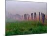 Fence Across Foggy Meadow, Cades Cove, Great Smoky Mountains National Park, Tennessee, USA-Adam Jones-Mounted Photographic Print