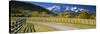 Fence along a Road, Sneffels Range, Colorado, USA-null-Stretched Canvas