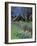 Fence, Barn and Daffodils, Northern California, USA-Darrell Gulin-Framed Photographic Print