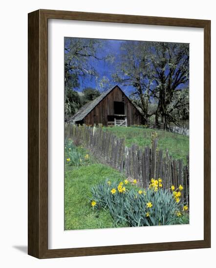 Fence, Barn and Daffodils, Northern California, USA-Darrell Gulin-Framed Photographic Print