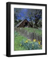 Fence, Barn and Daffodils, Northern California, USA-Darrell Gulin-Framed Photographic Print