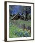 Fence, Barn and Daffodils, Northern California, USA-Darrell Gulin-Framed Photographic Print