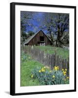 Fence, Barn and Daffodils, Northern California, USA-Darrell Gulin-Framed Photographic Print