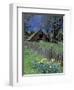 Fence, Barn and Daffodils, Northern California, USA-Darrell Gulin-Framed Photographic Print