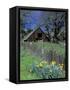 Fence, Barn and Daffodils, Northern California, USA-Darrell Gulin-Framed Stretched Canvas