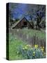 Fence, Barn and Daffodils, Northern California, USA-Darrell Gulin-Stretched Canvas