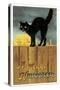 Fence Cat-Vintage Apple Collection-Stretched Canvas