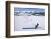 Fence Covered in Snow near Telluride-Jon Hicks-Framed Photographic Print