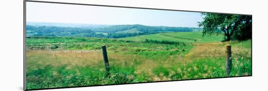 Fence in a field, Loess Hills, Mills County, Iowa, USA-null-Mounted Photographic Print
