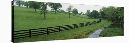 Fence in a Field, Woodford County, Kentucky, USA-null-Stretched Canvas