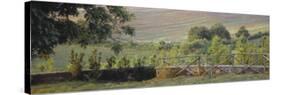 Fence in a Vineyard, Barbaresco Docg, Piedmont, Italy-null-Stretched Canvas
