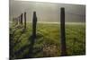 Fence in Cades Cove at sunrise, Great Smoky Mountains National Park, Tennessee-Adam Jones-Mounted Photographic Print