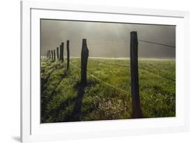 Fence in Cades Cove at sunrise, Great Smoky Mountains National Park, Tennessee-Adam Jones-Framed Premium Photographic Print