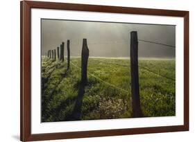 Fence in Cades Cove at sunrise, Great Smoky Mountains National Park, Tennessee-Adam Jones-Framed Premium Photographic Print