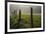 Fence in Cades Cove at sunrise, Great Smoky Mountains National Park, Tennessee-Adam Jones-Framed Premium Photographic Print