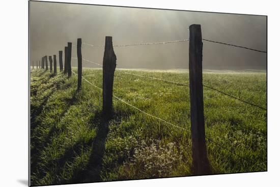 Fence in Cades Cove at sunrise, Great Smoky Mountains National Park, Tennessee-Adam Jones-Mounted Premium Photographic Print