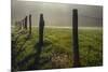 Fence in Cades Cove at sunrise, Great Smoky Mountains National Park, Tennessee-Adam Jones-Mounted Premium Photographic Print