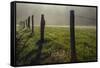 Fence in Cades Cove at sunrise, Great Smoky Mountains National Park, Tennessee-Adam Jones-Framed Stretched Canvas