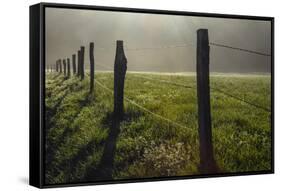 Fence in Cades Cove at sunrise, Great Smoky Mountains National Park, Tennessee-Adam Jones-Framed Stretched Canvas