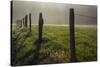 Fence in Cades Cove at sunrise, Great Smoky Mountains National Park, Tennessee-Adam Jones-Stretched Canvas