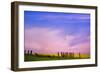 Fence in Field-null-Framed Photographic Print