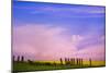 Fence in Field-null-Mounted Photographic Print