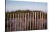 Fence in Sand Dunes, Cape Cod, Massachusetts-Paul Souders-Stretched Canvas