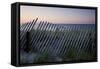 Fence in Sand Dunes, Cape Cod, Massachusetts-Paul Souders-Framed Stretched Canvas