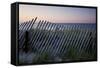 Fence in Sand Dunes, Cape Cod, Massachusetts-Paul Souders-Framed Stretched Canvas