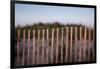 Fence in Sand Dunes, Cape Cod, Massachusetts-Paul Souders-Framed Photographic Print