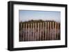 Fence in Sand Dunes, Cape Cod, Massachusetts-Paul Souders-Framed Photographic Print