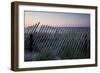 Fence in Sand Dunes, Cape Cod, Massachusetts-Paul Souders-Framed Photographic Print