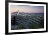 Fence in Sand Dunes, Cape Cod, Massachusetts-Paul Souders-Framed Photographic Print