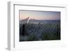 Fence in Sand Dunes, Cape Cod, Massachusetts-Paul Souders-Framed Photographic Print