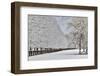 Fence line and fresh snow with trees covered in snow.-Darrell Gulin-Framed Photographic Print