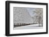 Fence line and fresh snow with trees covered in snow.-Darrell Gulin-Framed Photographic Print