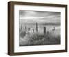 Fence Line Flight II-Chris Vest-Framed Photographic Print