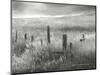 Fence Line Flight II-Chris Vest-Mounted Photographic Print