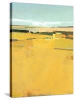 Fence Lines and Fields-Greg Hargreaves-Stretched Canvas