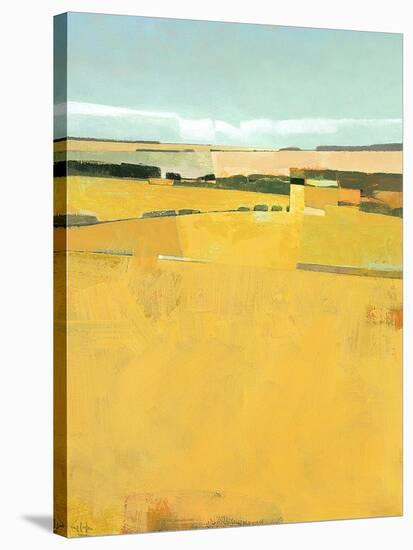 Fence Lines and Fields-Greg Hargreaves-Stretched Canvas