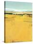 Fence Lines and Fields-Greg Hargreaves-Stretched Canvas