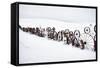Fence Made of Old Iron Wheels on Snow-Terry Eggers-Framed Stretched Canvas