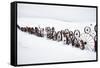 Fence Made of Old Iron Wheels on Snow-Terry Eggers-Framed Stretched Canvas