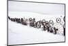 Fence Made of Old Iron Wheels on Snow-Terry Eggers-Mounted Photographic Print