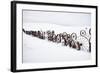Fence Made of Old Iron Wheels on Snow-Terry Eggers-Framed Photographic Print